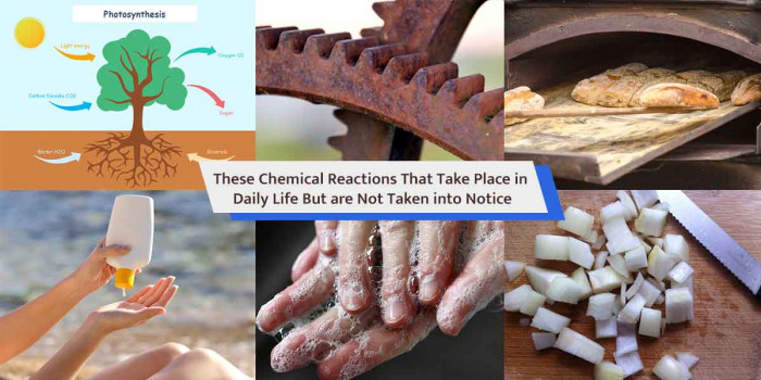 10 Common Chemical Reactions That Occur in Everyday Life 