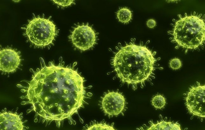 10 Fascinating Facts About Germs