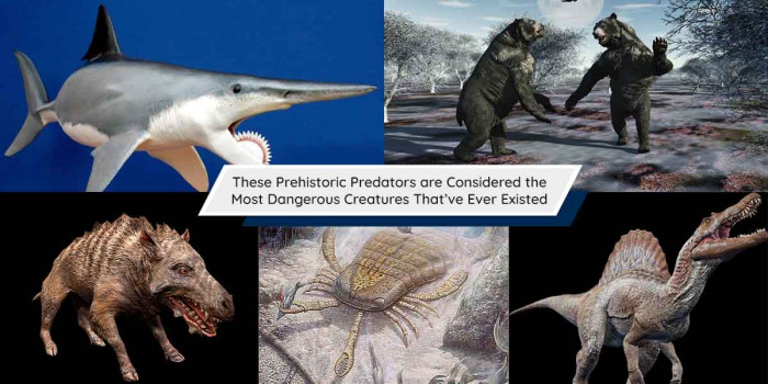 10 Prehistoric Predators That Were Way Dangerous Than You Can Even Think Of