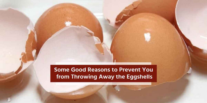 11 Amazing Eggshell Benefits & Uses That Wouldn’t Let You Throw Them