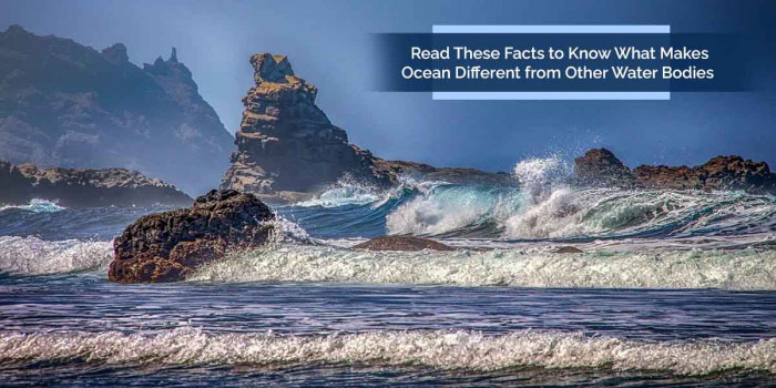 11 Ocean Facts That You Might Not Have Ever Read Before