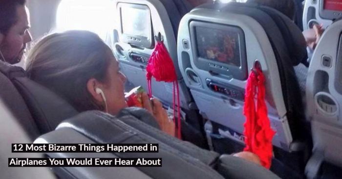12 Most Bizarre Things Happened in Airplanes You Would Ever Hear About