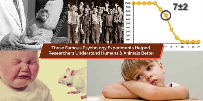 12 Psychology Experiments That Helped Researchers Understand Human Behavior