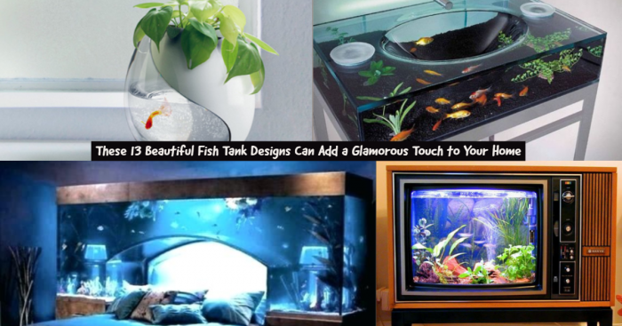 13 Amazing Fish Tank Designs You'd Want to Add to Your Home Right Now