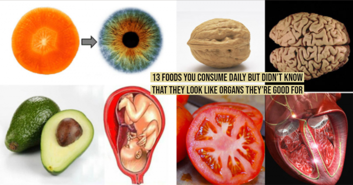 13 Foods That Resemble Human Body Parts for Which They are Beneficial