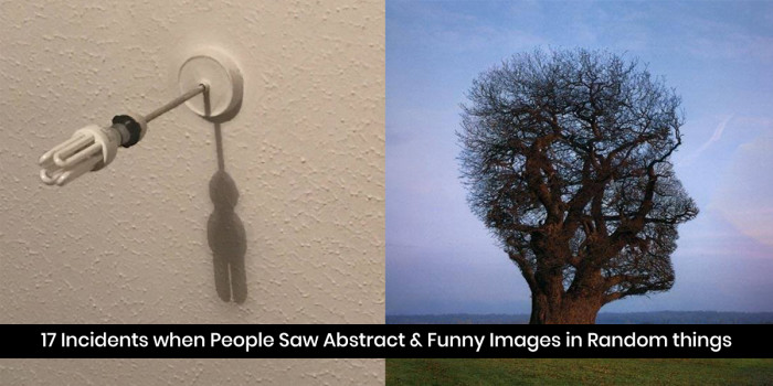17 Incidents when People Saw Abstract & Funny Images in Random things