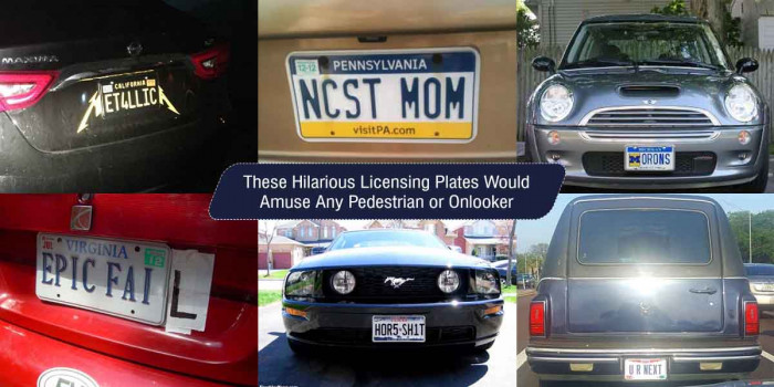 45 Funny Licensing Plates That People Cleverly Customized for Their Vehicles