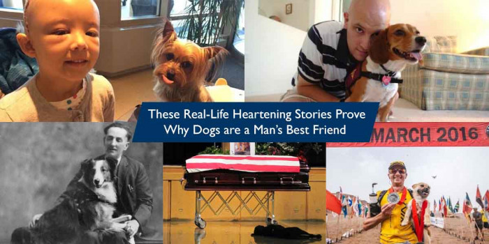 5 Heartwarming Stories That Prove Dogs are the True Friends of Humans