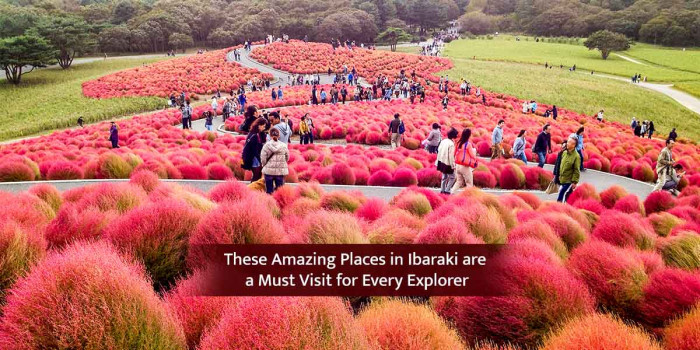 8 Picturesque Places That Should be on Your List When You Visit Ibaraki