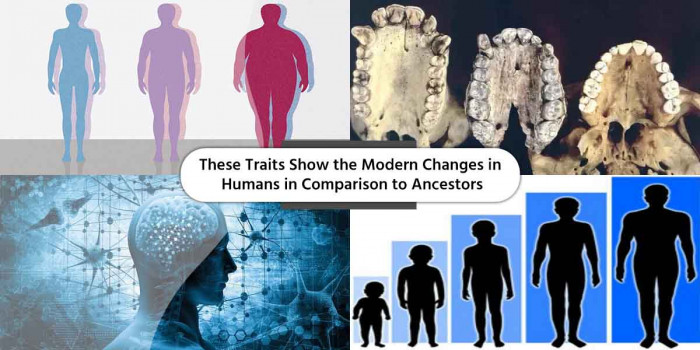 8 Traits That Show the Evolution of Human in the Past 150 Years