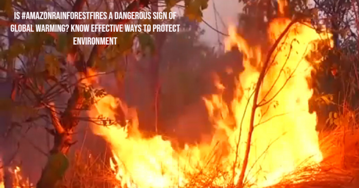 #ActForTheAmazon: Who Should Be Blamed for Amazon Rainforest Fires?