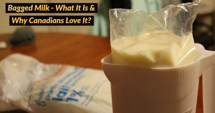 Bagged Milk- What is it & Why Canadians Love it?