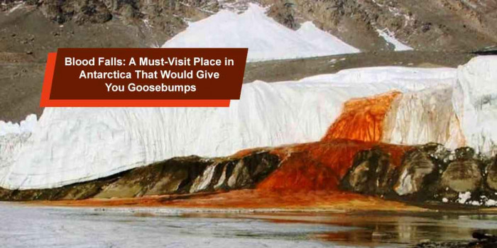 Blood Falls in Antarctica Looks Blood-Curdling Yet is a Beautiful Sight to Behold