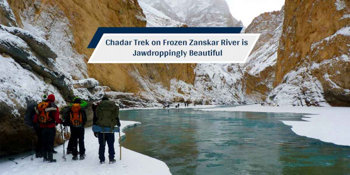 Chadar Frozen River Trek is a Must-Visit for Adventure Seekers