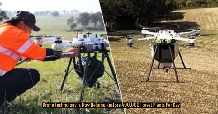 Drones Helping Restore Forests by Seeding 400,000 Plants Per Day