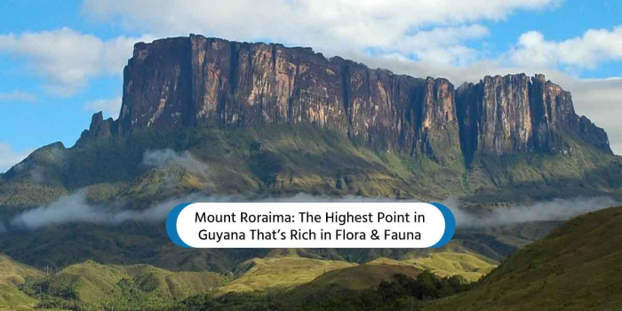 Explore the Fascinating Cliff ‘Mount Roraima’ That Looks Straight Out of a Sci-Fi Movie