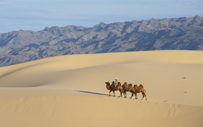 Gobi Desert: A Thrilling Expedition for Adventure-Seekers
