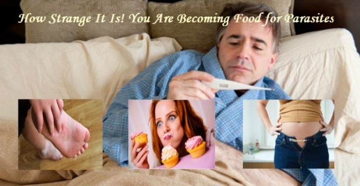 How Strange It Is! You Are Becoming Food for Parasites