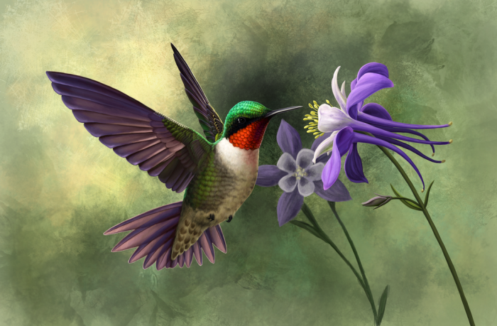 Hummingbird Symbolism from Legends to Mythologies
