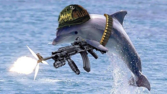 Military Dolphins: The Savior Of World’s Largest Nuclear Arsenal