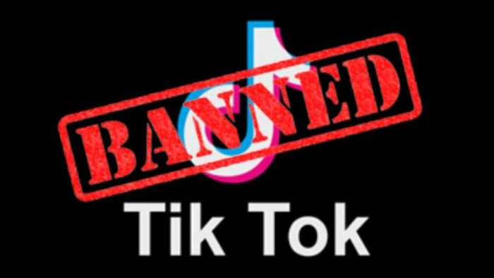 No Tiktok in India, HC Says It’s Degrading Culture of India