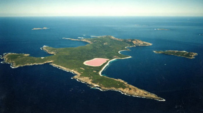 Pink Lake Hillier From Australia Has Some Surprising Scenic Views