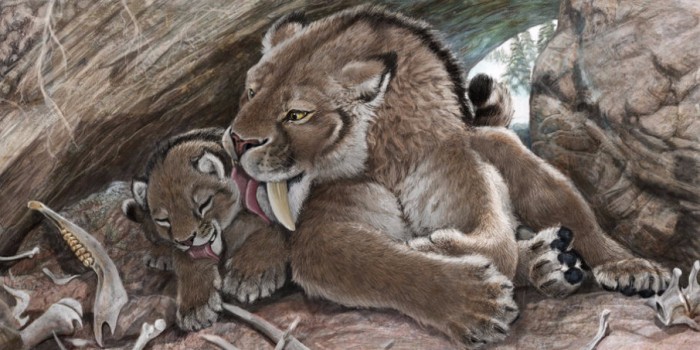 The Ferocious Saber-Toothed Kittens of the Ice Age