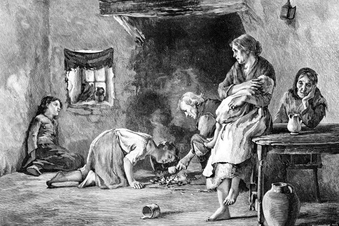 The Great Irish Potato Famine & Its Mystery Has Been Revealed
