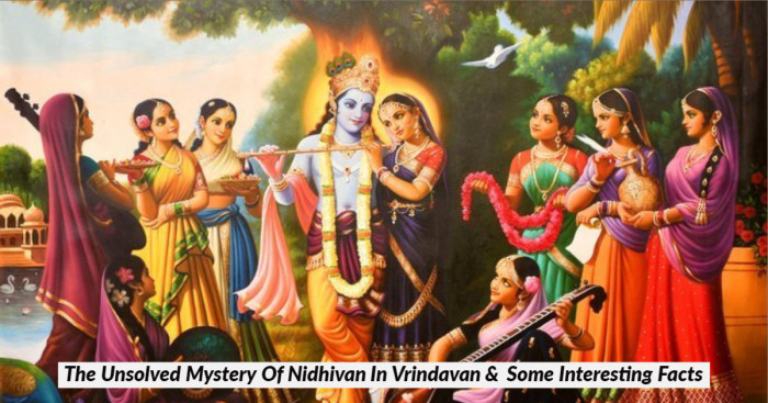 The Unsolved Mystery Of Nidhivan In Vrindavan & Some Interesting Facts