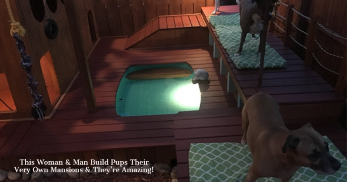 These People Built Their Dogs Their Very Own Home-Cum-Mansions