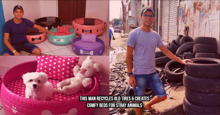 This Man Recycles Old Tires & Creates Comfy Beds for Stray Animals