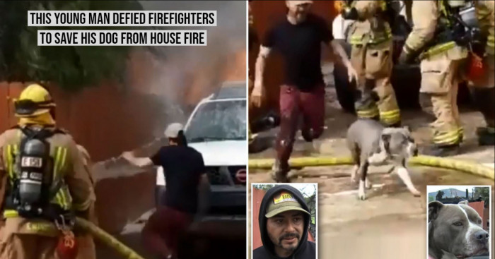 This Young Man Defied Firefighters to Save his Dog from House Fire
