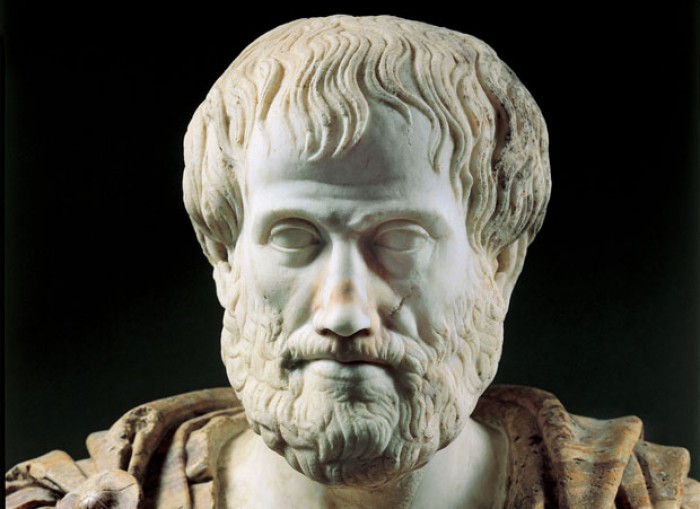 Top 10 Contributions Of Aristotle In Scientific Field