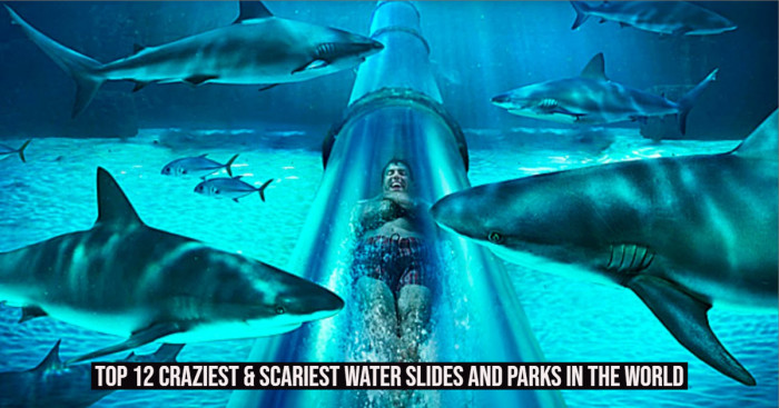 Top 12 Craziest & Scariest Water Slides and Parks in the World