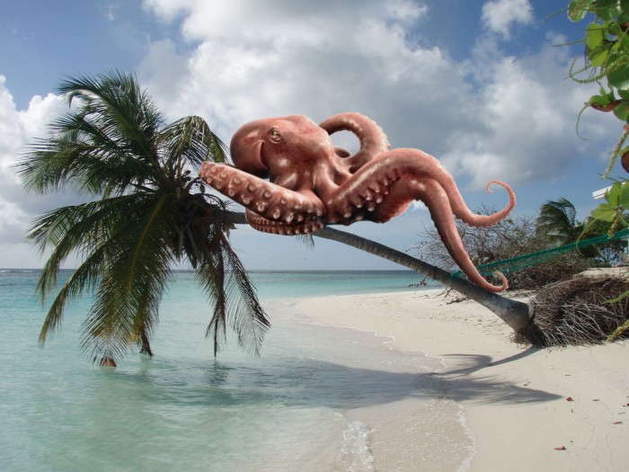 Tree Octopus - Real Or Just A Hoax – Here’s The Truth