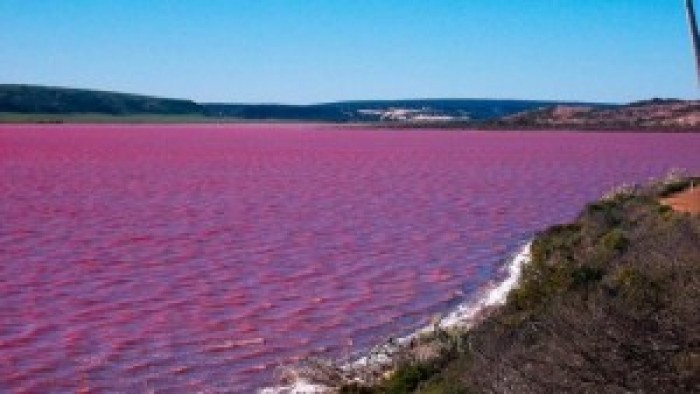ऑस्ट्रेलिया की यह सुंदर गुलाबी पानी झील को देखना न भूलें
