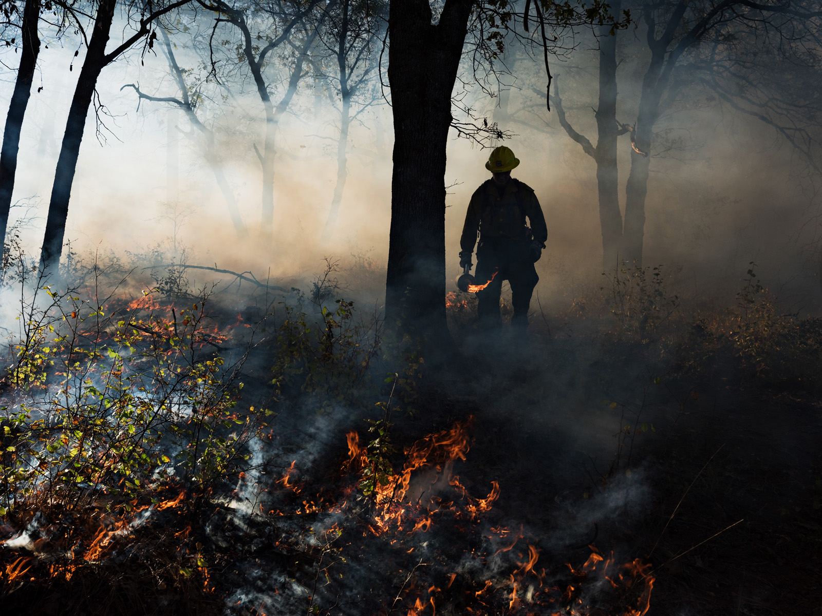 These Shocking Pictures Depict How Humans Are Destroying Nature 