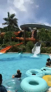14 Epic GIFs of Water Slide Fails That are Just Hilarious as Hell |  Stillunfold