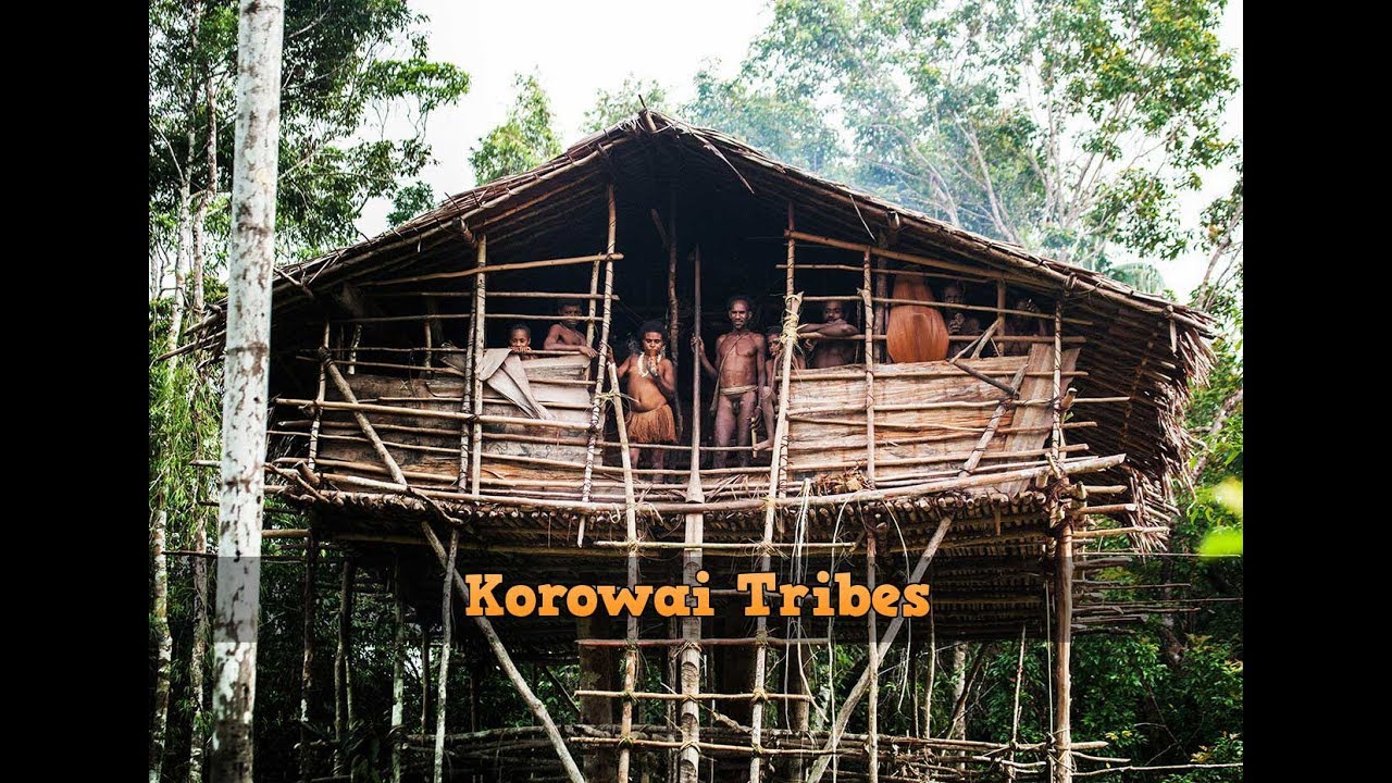 Korowai Tribes and Their Incredible Tree Houses | Stillunfold
