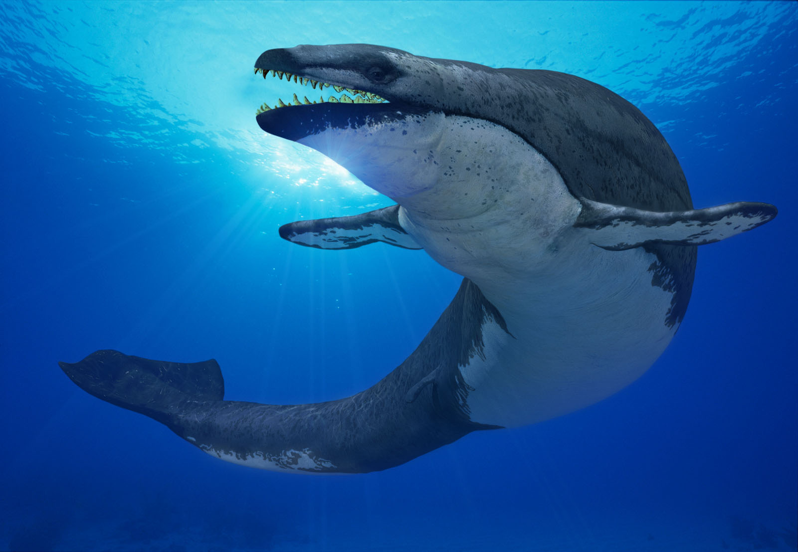 10 Biggest Water Dinosaurs & Sea Monsters Ever Found In Archaeology